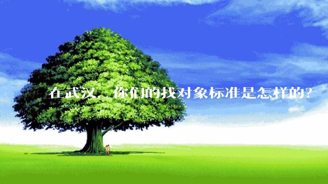在武汉，你们的找对象标准是怎样的？