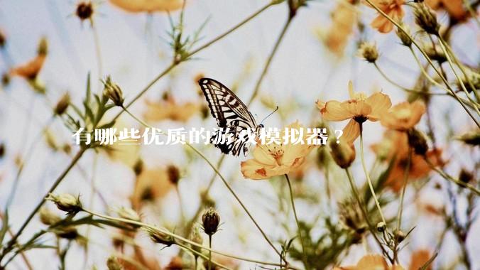 有哪些优质的游戏模拟器?